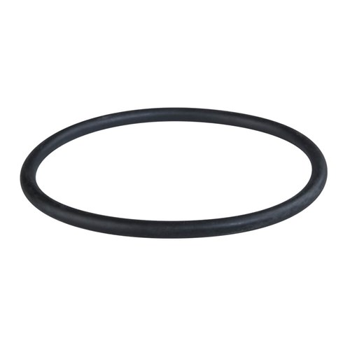 Replacement O-ring for Depural Filter Housings